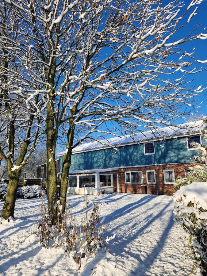 Ferienwohnung Sort Sol Grellsbuelldeich 7 Aventoft Esterno foto