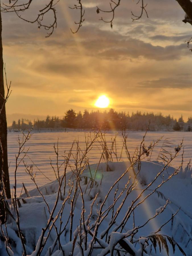 Ferienwohnung Sort Sol Grellsbuelldeich 7 Aventoft Esterno foto