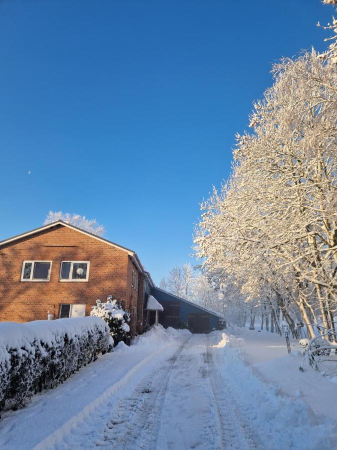 Ferienwohnung Sort Sol Grellsbuelldeich 7 Aventoft Esterno foto