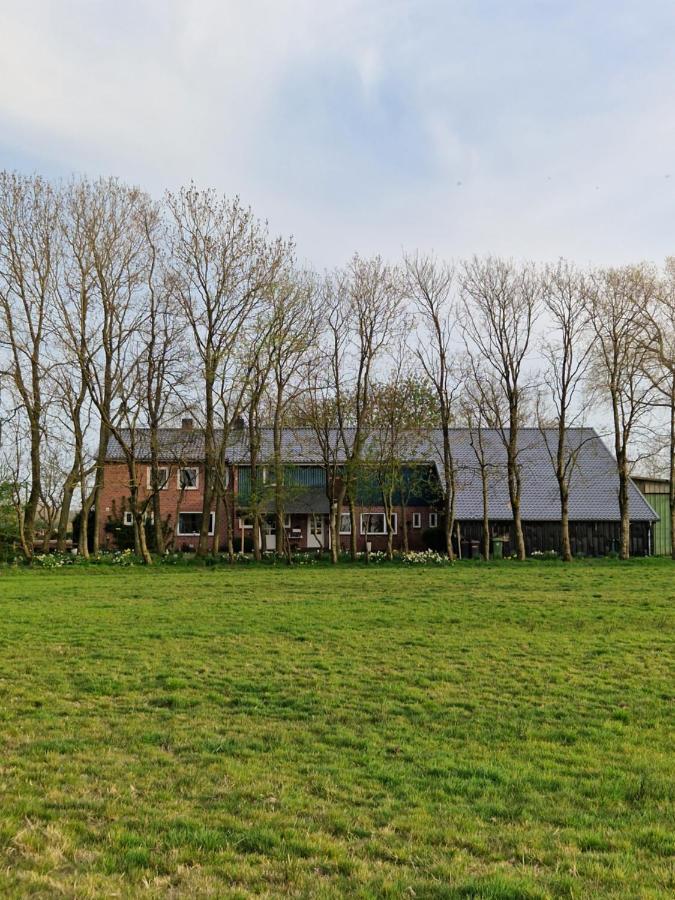 Ferienwohnung Sort Sol Grellsbuelldeich 7 Aventoft Esterno foto