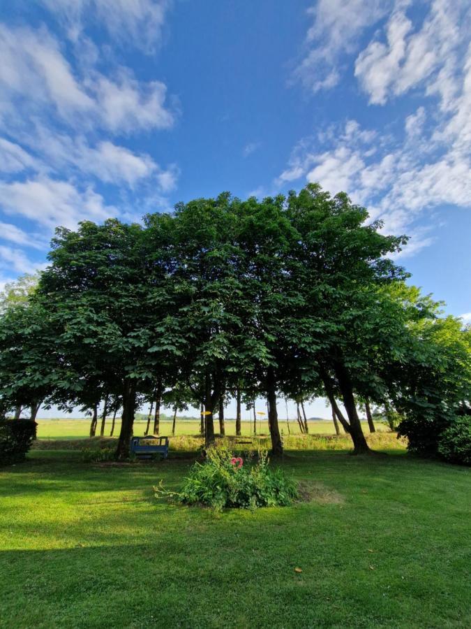 Ferienwohnung Sort Sol Grellsbuelldeich 7 Aventoft Esterno foto