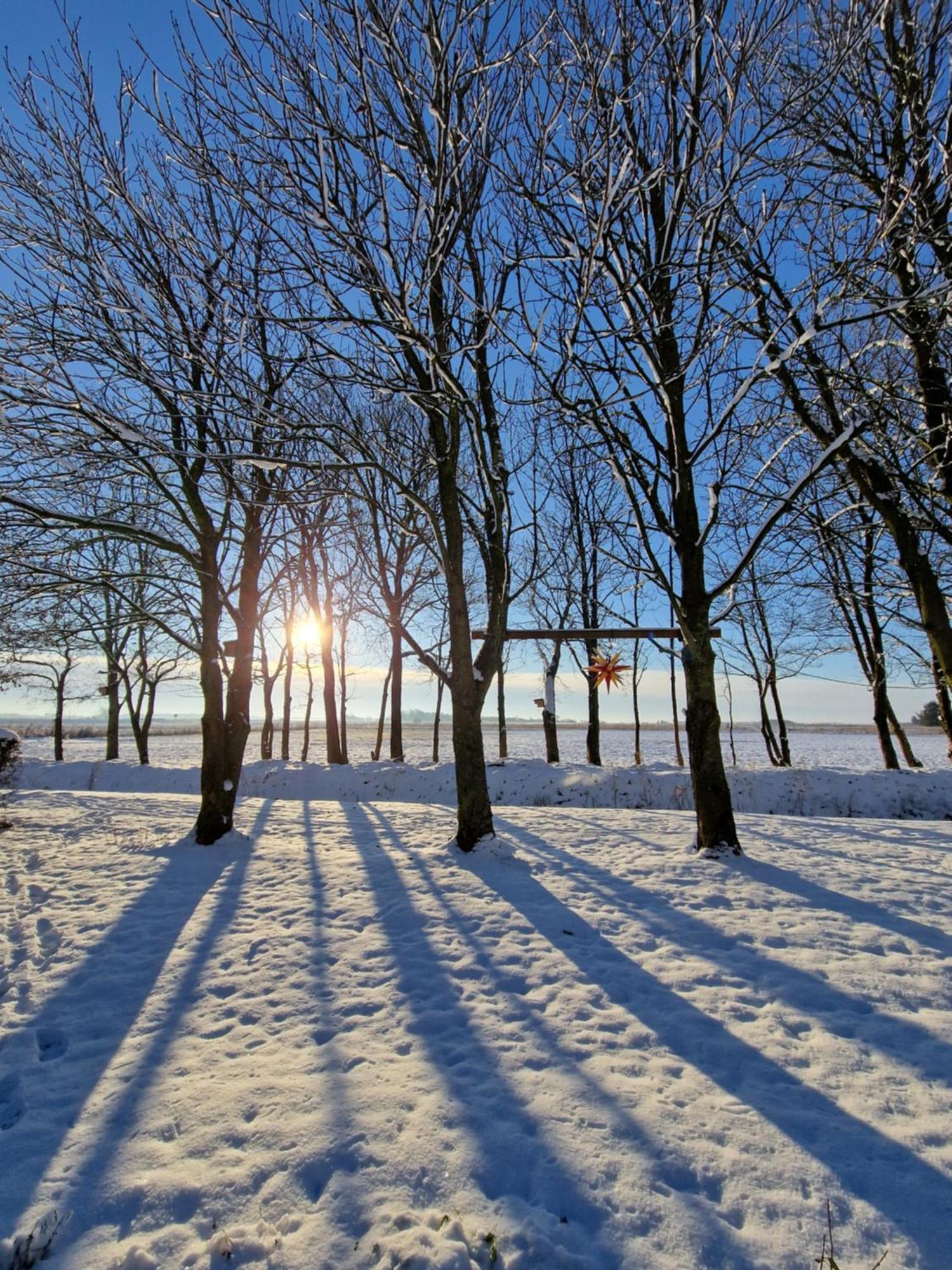 Ferienwohnung Sort Sol Grellsbuelldeich 7 Aventoft Esterno foto
