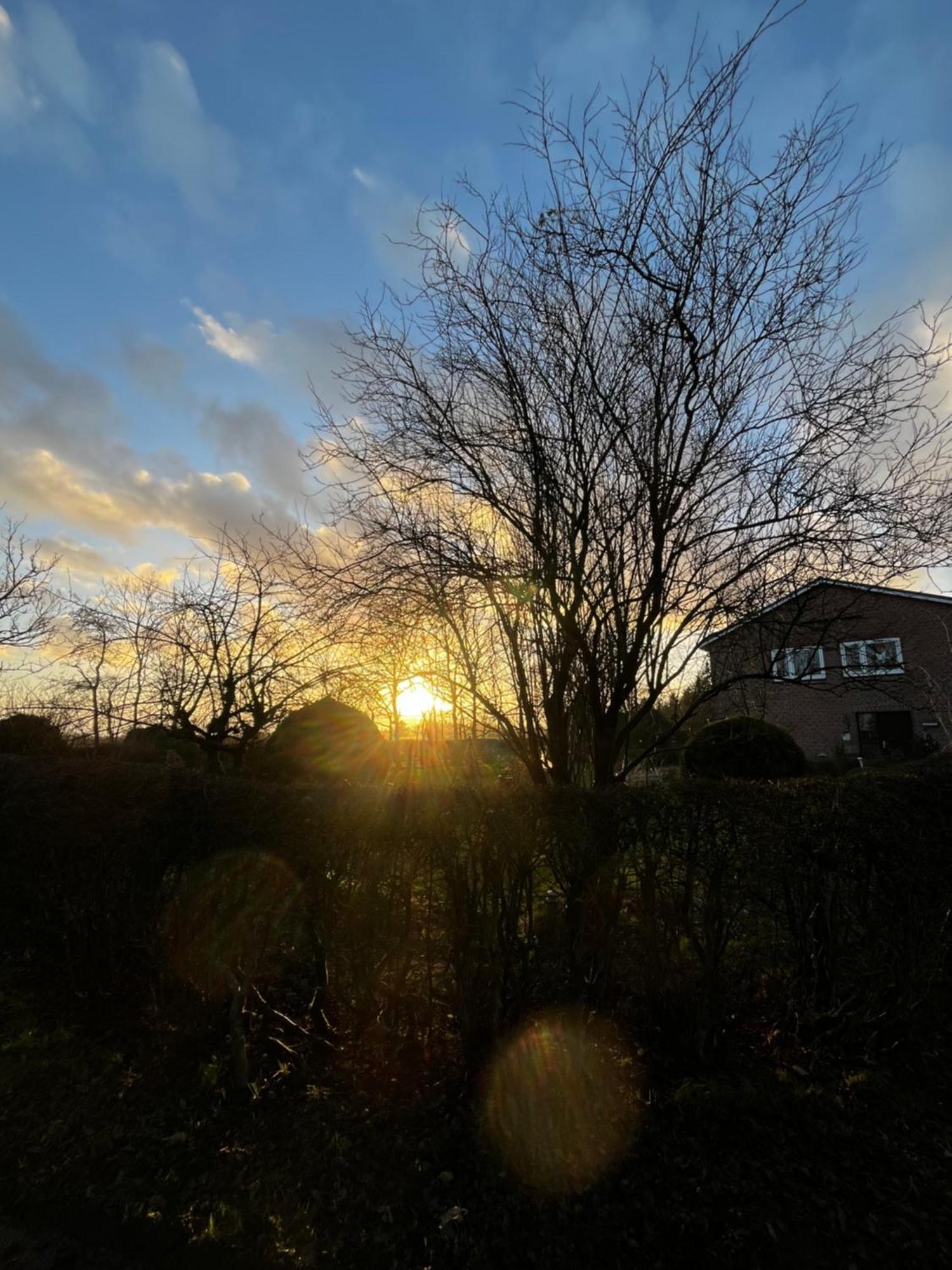 Ferienwohnung Sort Sol Grellsbuelldeich 7 Aventoft Esterno foto