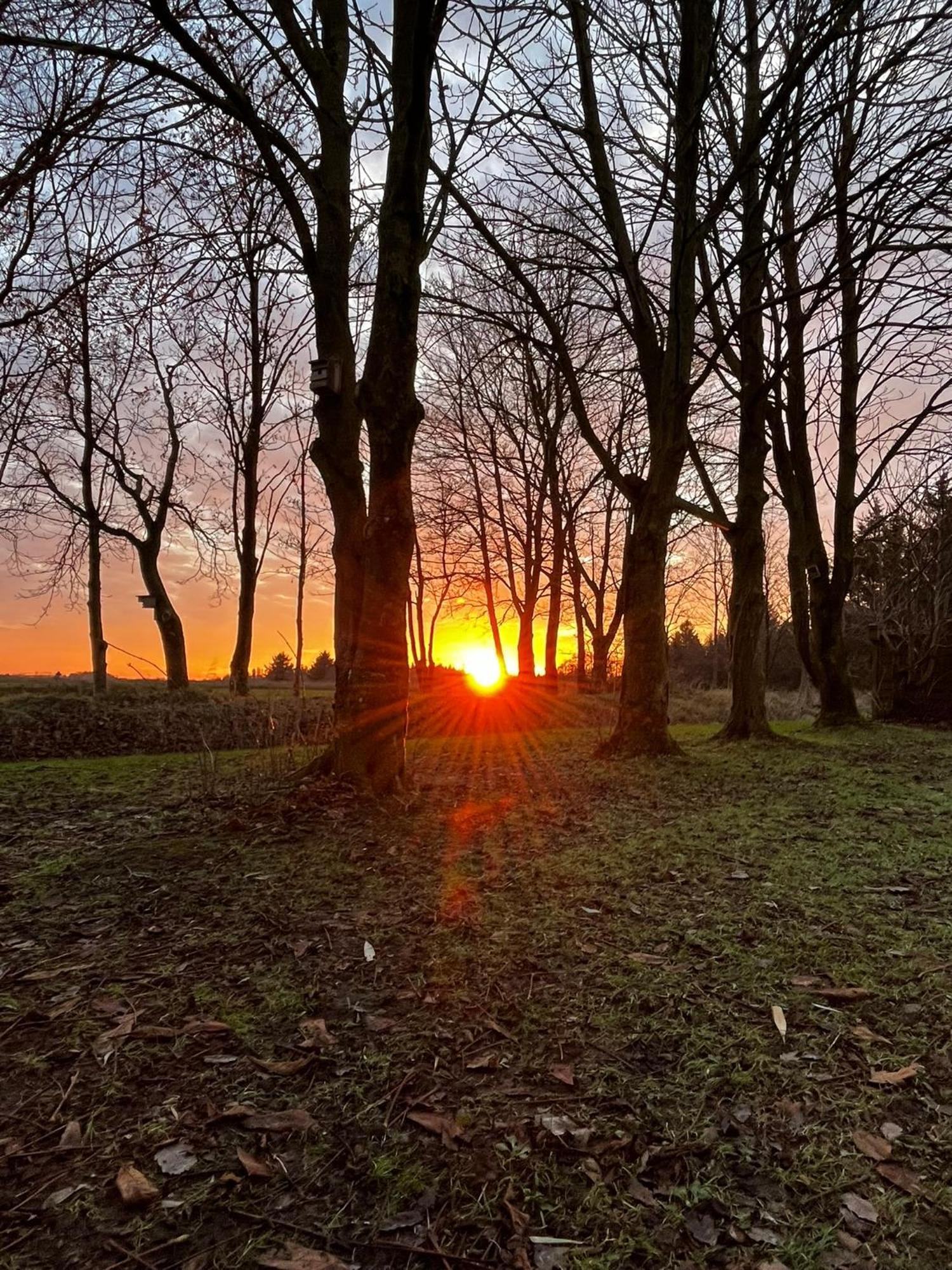 Ferienwohnung Sort Sol Grellsbuelldeich 7 Aventoft Esterno foto